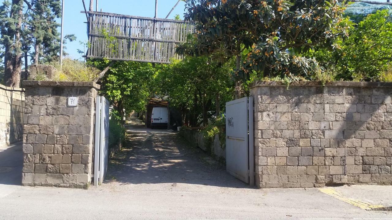 Casa Carolina B&B Сорренто Екстер'єр фото