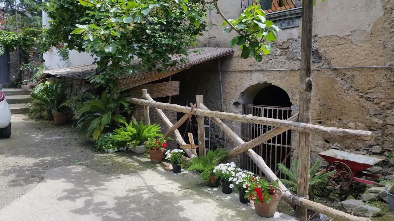 Casa Carolina B&B Сорренто Екстер'єр фото