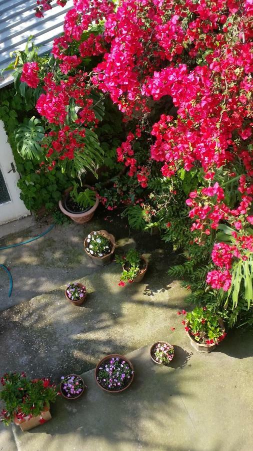 Casa Carolina B&B Сорренто Екстер'єр фото
